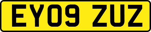 EY09ZUZ