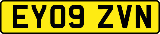 EY09ZVN