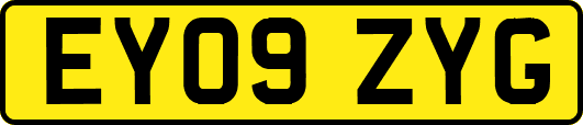 EY09ZYG
