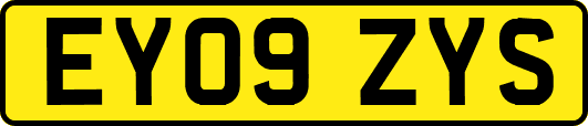 EY09ZYS