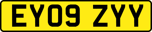 EY09ZYY