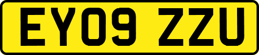 EY09ZZU