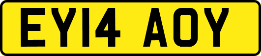 EY14AOY