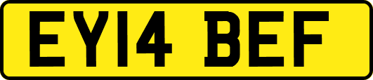 EY14BEF
