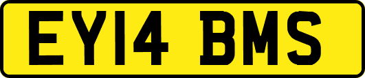 EY14BMS