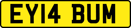EY14BUM