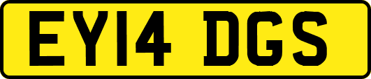EY14DGS