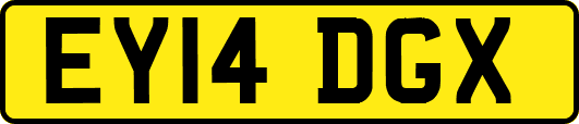 EY14DGX