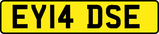 EY14DSE