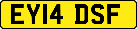 EY14DSF