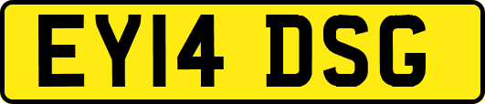 EY14DSG