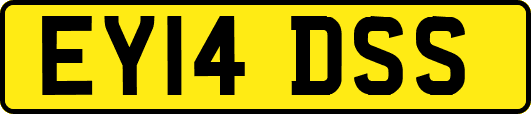 EY14DSS