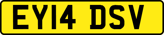 EY14DSV