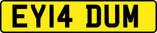 EY14DUM