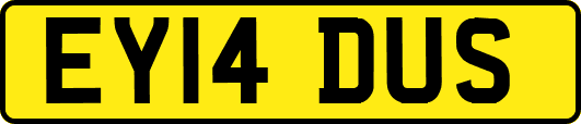 EY14DUS