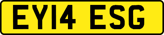 EY14ESG