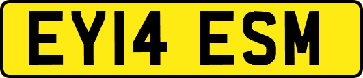 EY14ESM