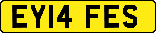 EY14FES