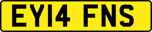 EY14FNS