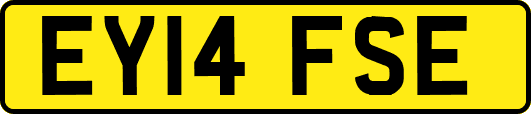EY14FSE