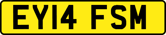 EY14FSM