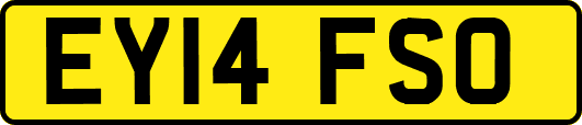 EY14FSO