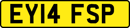 EY14FSP
