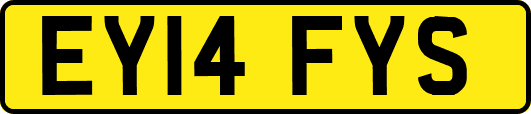 EY14FYS