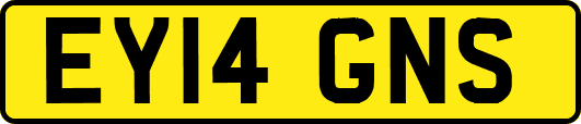 EY14GNS