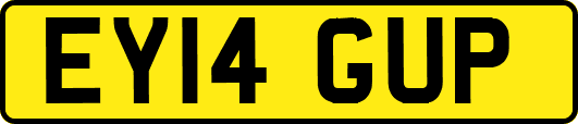 EY14GUP