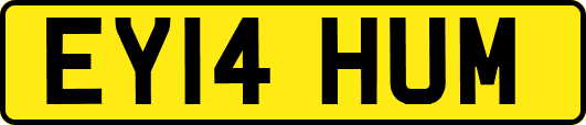 EY14HUM