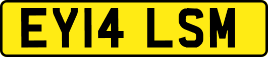 EY14LSM