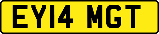 EY14MGT
