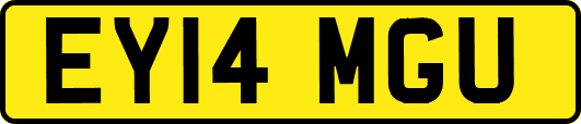 EY14MGU