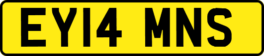 EY14MNS