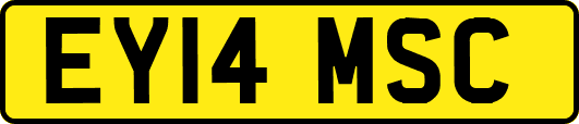 EY14MSC
