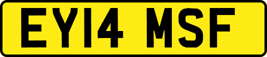 EY14MSF