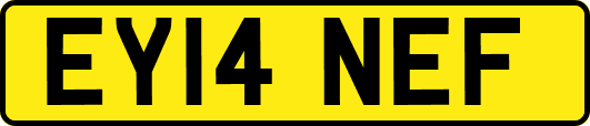 EY14NEF