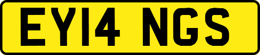 EY14NGS
