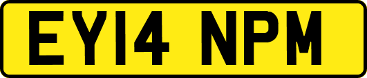 EY14NPM