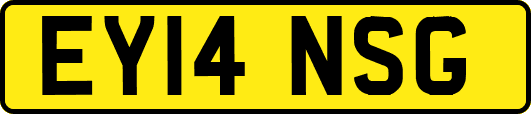 EY14NSG