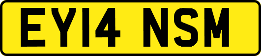 EY14NSM