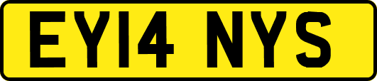 EY14NYS