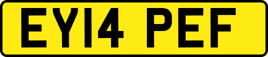 EY14PEF