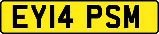 EY14PSM