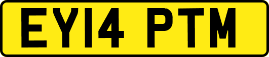 EY14PTM