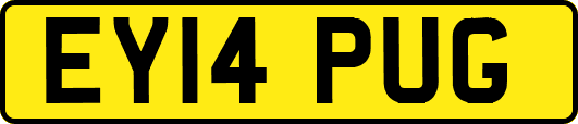 EY14PUG