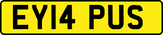 EY14PUS
