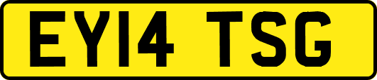 EY14TSG