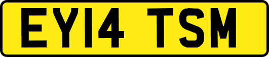EY14TSM